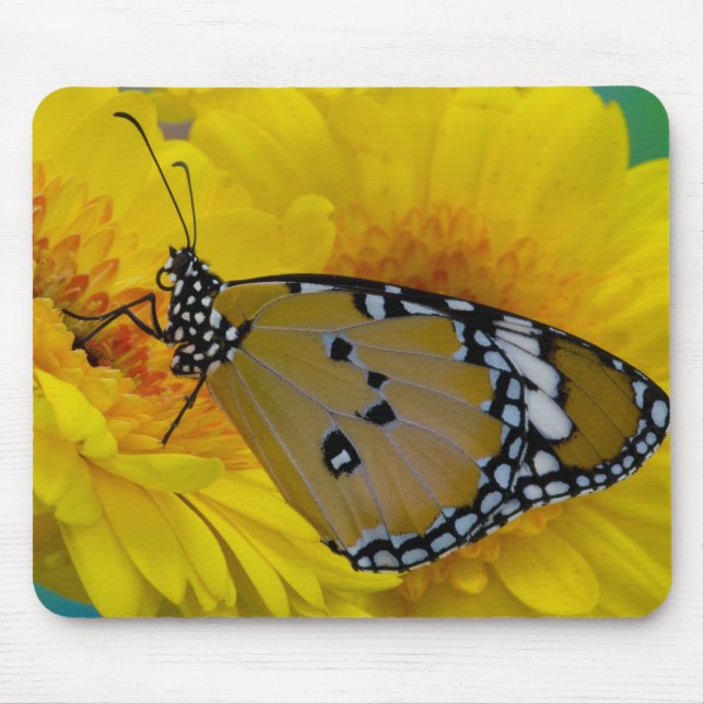 Tropical Butterflies Mouse Pad (Front)