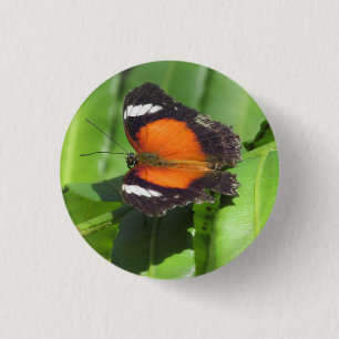 Tropical Butterfly Badge