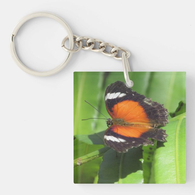 Tropical Butterfly Key Ring (Front)