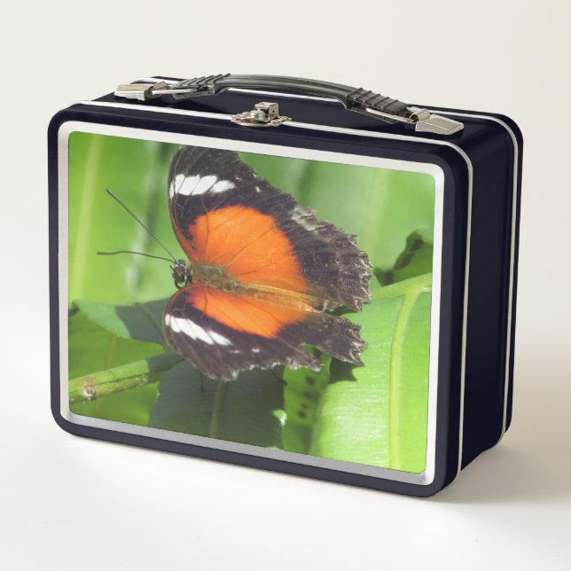 Tropical Butterfly Lunch Box (Front)
