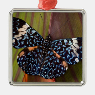 Tropical Butterfly Metal Tree Decoration