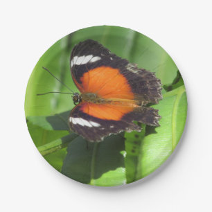 Tropical Butterfly Paper Plate