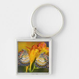 Tropical Butterfly Twins Key Ring