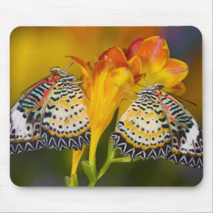 Tropical Butterfly Twins Mouse Pad