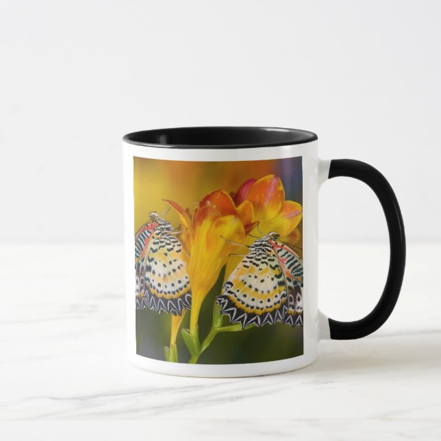 Tropical Butterfly Twins Mug (Right)