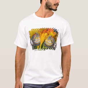 Tropical Butterfly Twins T-Shirt