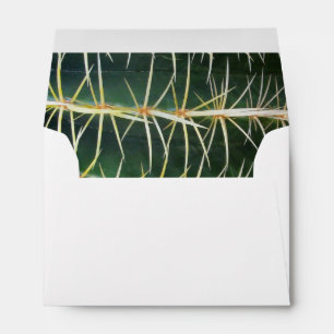 Tropical Cactus Photo Custom Address Envelope