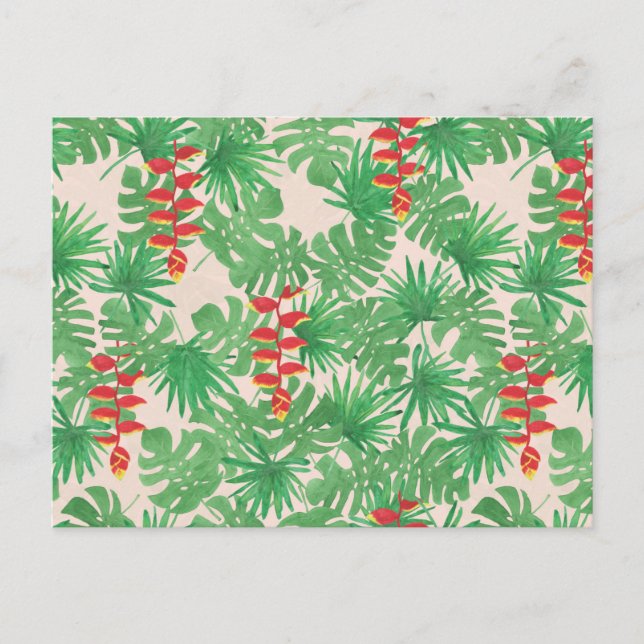 Tropical Canopy Postcard (Front)