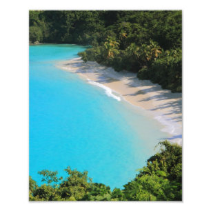 Tropical Caribbean Island Beach Photo Print