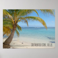 Tropical Caribbean Island Belise Beach and Palms