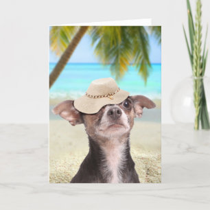 Tropical chihuahua on vacation card