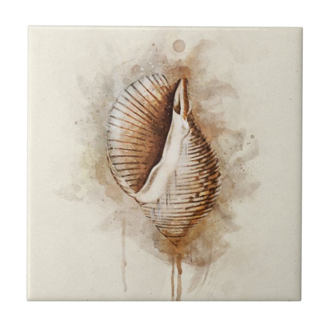 Tropical Coastal Beach Sea Shell Tile (Front)