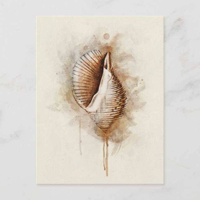 Tropical Coastal Beach Sea Shell Watercolor Postcard (Front)