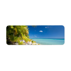 Tropical coastline