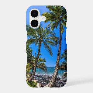 Tropical coastline 2
