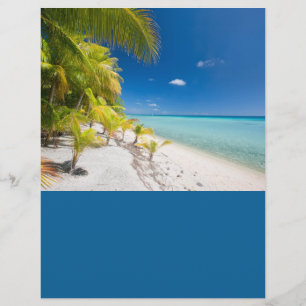 Tropical coastline flyer