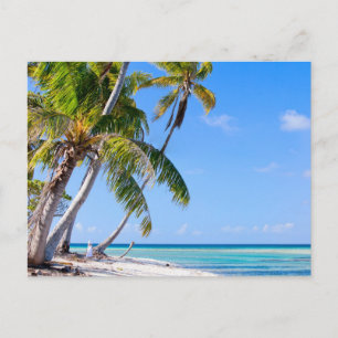 Tropical coastline postcard