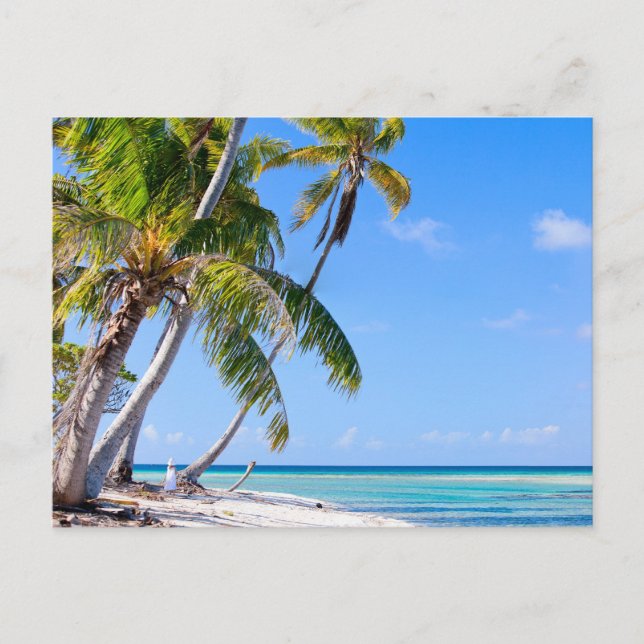 Tropical coastline postcard (Front)