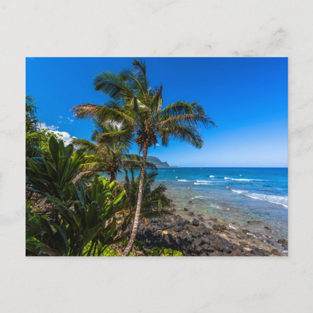 Tropical coastline postcard (Front)