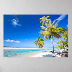 Tropical coastline poster