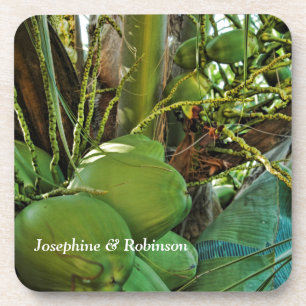 Tropical Coconuts Island Palm Trees Personalize  Coaster