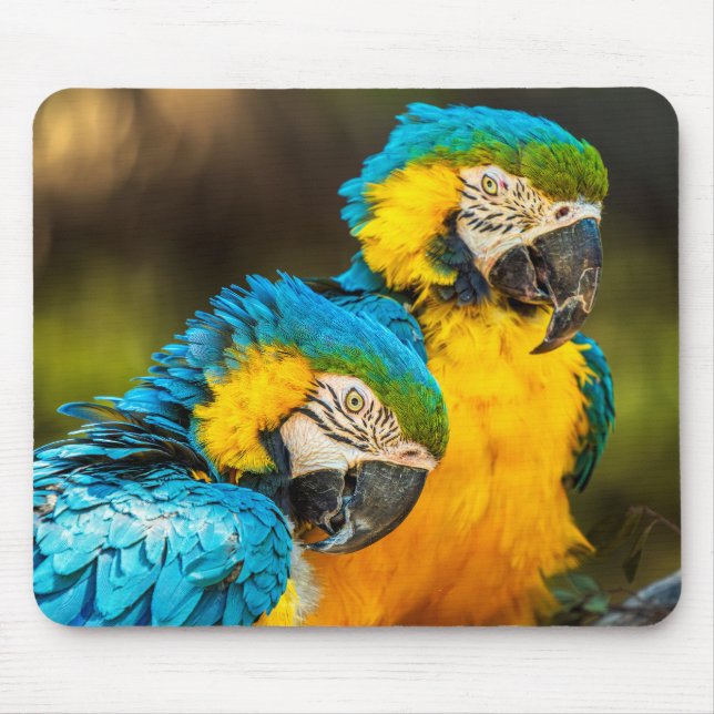 Tropical Companions Wildlife Photo Wall Art Print Mouse Pad (Front)