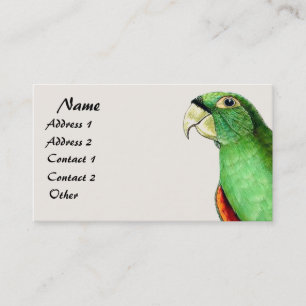 Tropical Conure Parrot Bird Wildlife Business Card