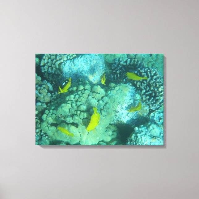 Tropical coral reef canvas (Front)