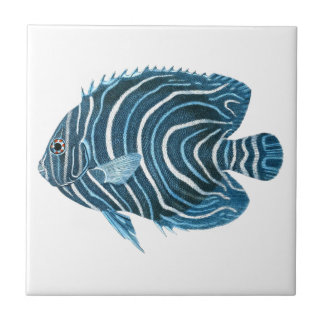 Tropical Coral Reef Fish Tile