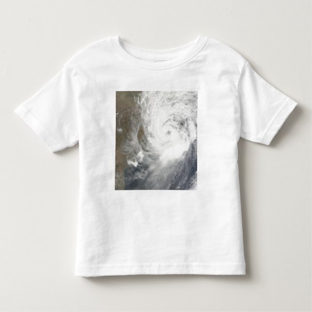 Tropical Cyclone Aila Toddler T-Shirt (Front)