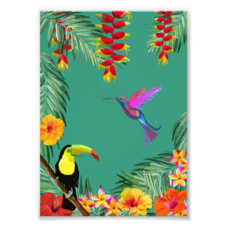 Tropical Delight hummingbird toucan flowers Photo Print