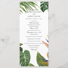 Tropical Dream Programme