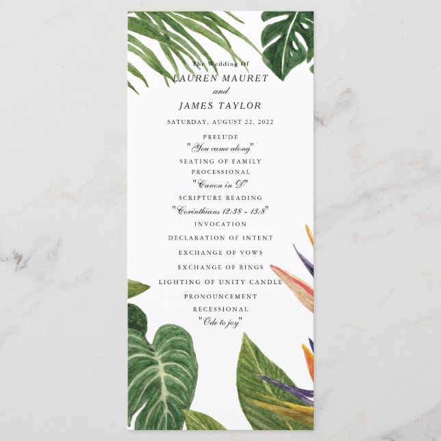 Tropical Dream Programme (Front)