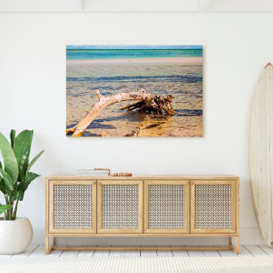 Tropical Driftwood Bahia Honda Beach Photo Canvas Print