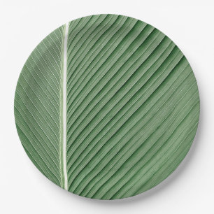 Tropical Elegance - Coconut Leaf Design Paper Plat Plate