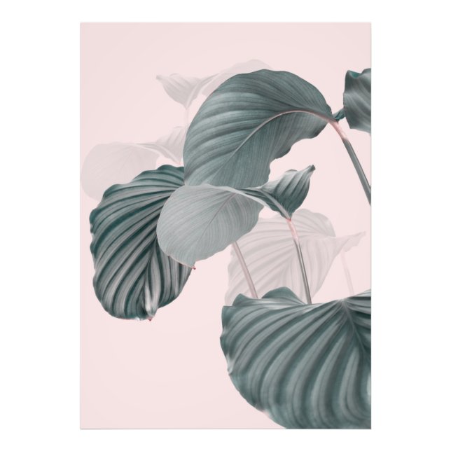 Tropical Elegance in Pastel Photo Print (Front)