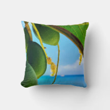 Tropical Essence Collection - Tropical Fruit & Sea