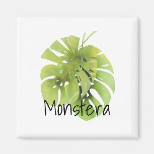 Tropical exotic green monstera leaves watercolor e magnet