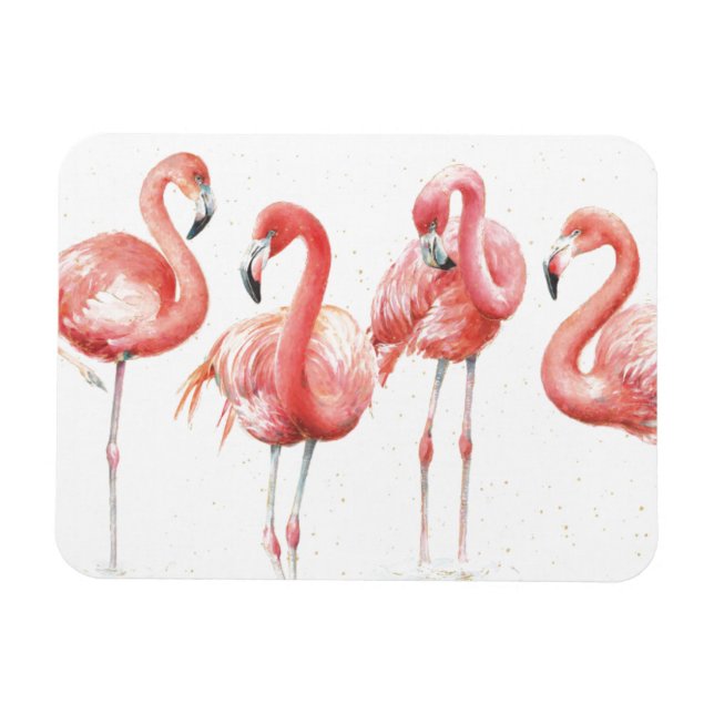Tropical | Family of Flamingos Magnet (Horizontal)