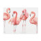 Tropical | Family of Flamingos
