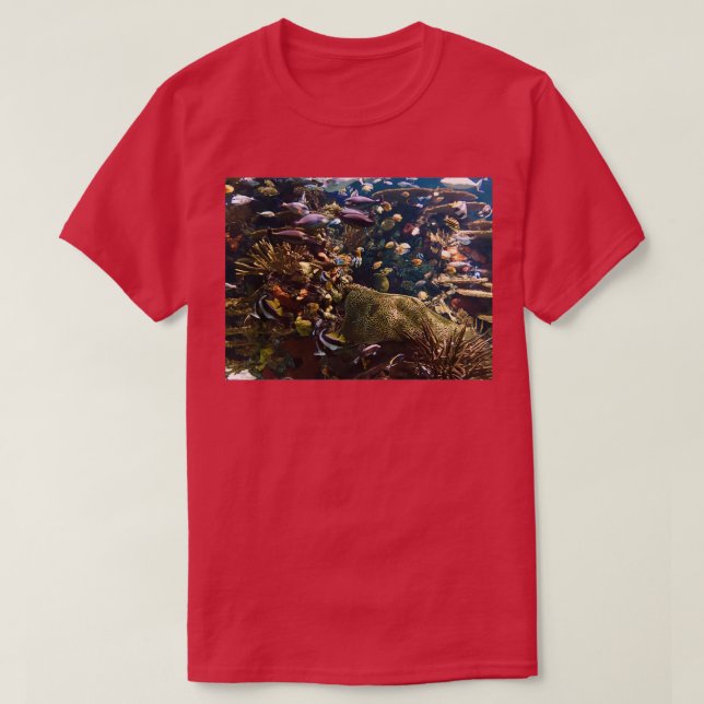 Tropical Fish 2 T-Shirt (Design Front)