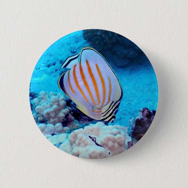 Tropical Fish 6 Cm Round Badge (Front)