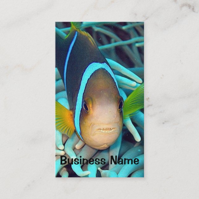 Tropical Fish Business Card (Front)