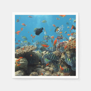 Tropical Fish Chaos Napkin