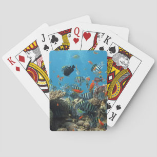 Tropical Fish Chaos Playing Cards