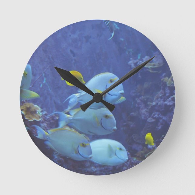Tropical Fish Clock (Front)
