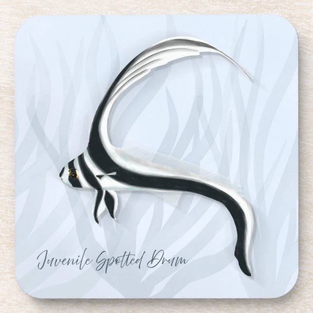 Tropical Fish Coasters (Front)