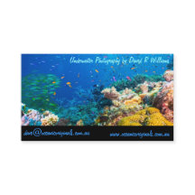 Tropical Fish Great Barrier Reef Coral Sea