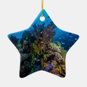 Tropical Fish Great Barrier Reef Coral Sea Ceramic Tree Decoration