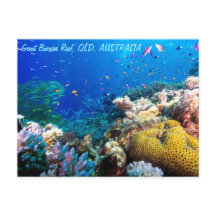 Tropical Fish Great Barrier Reef Coral Sea